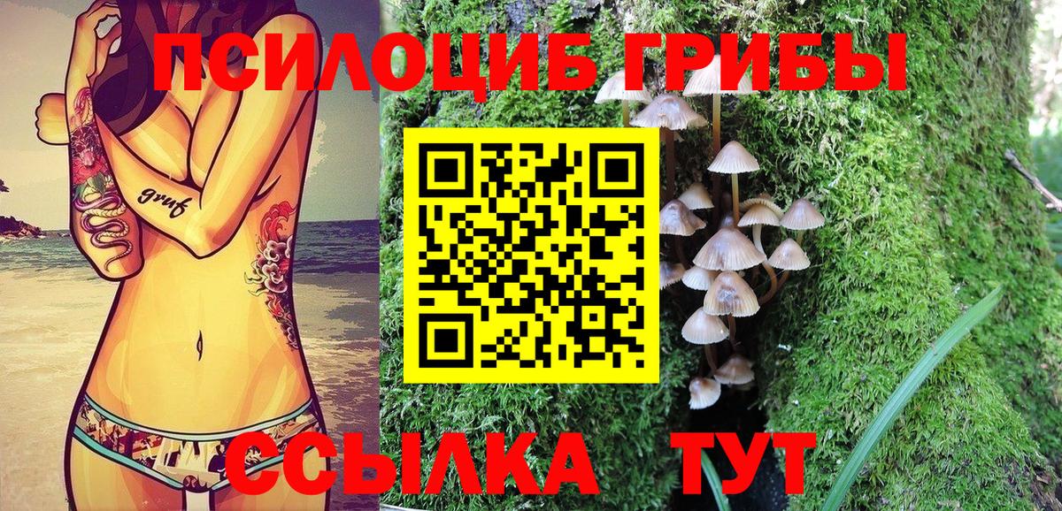 Галлюциногенные грибы ЛСД  Вход с VPN  купить  сайты  Заволжье 