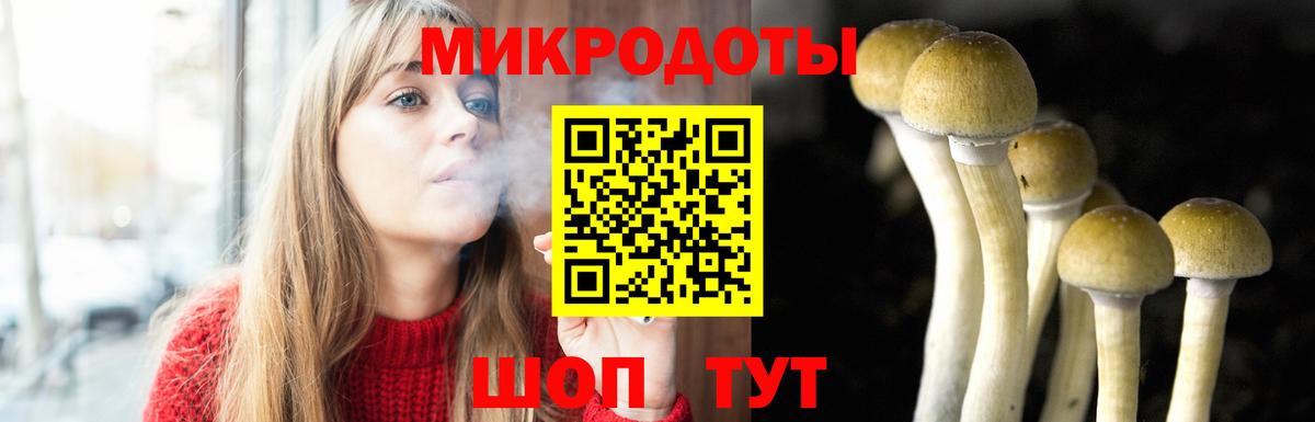 Псилоцибиновые грибы мухоморы Заволжье