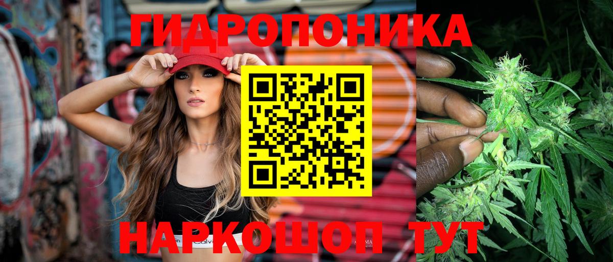 Заволжье  Канабис Amnesia  МАРИХУАНА Ganja  Шишки марихуана сатива  Вход с VPN 